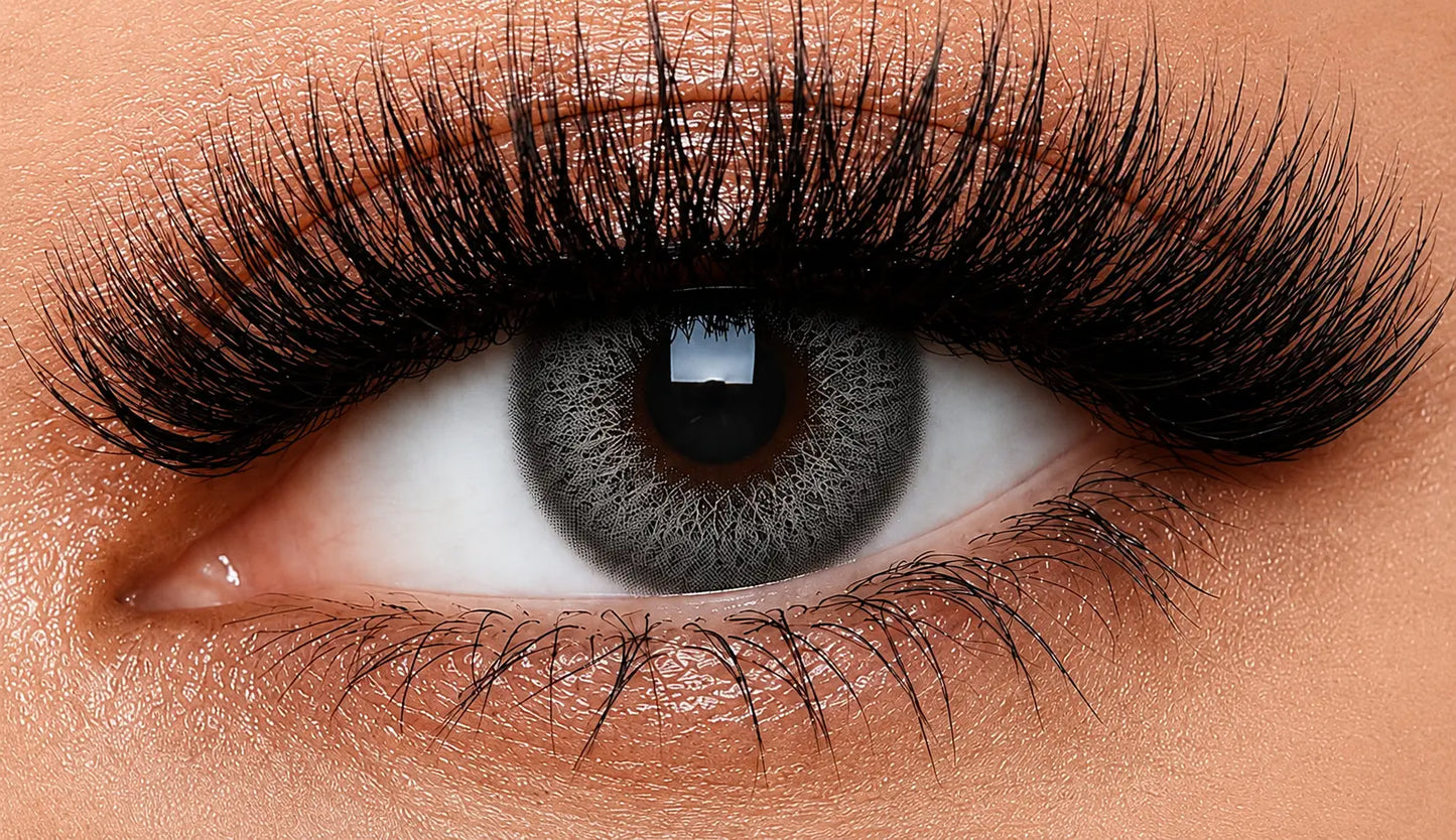 Royal Grey Coloured Contact Lenses