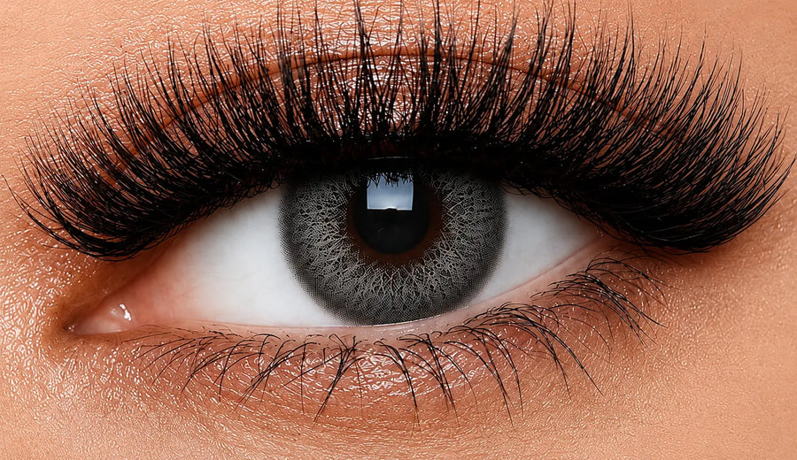 Royal Grey Coloured Contact Lenses